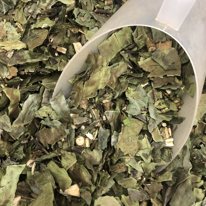 Chá verde em folhas